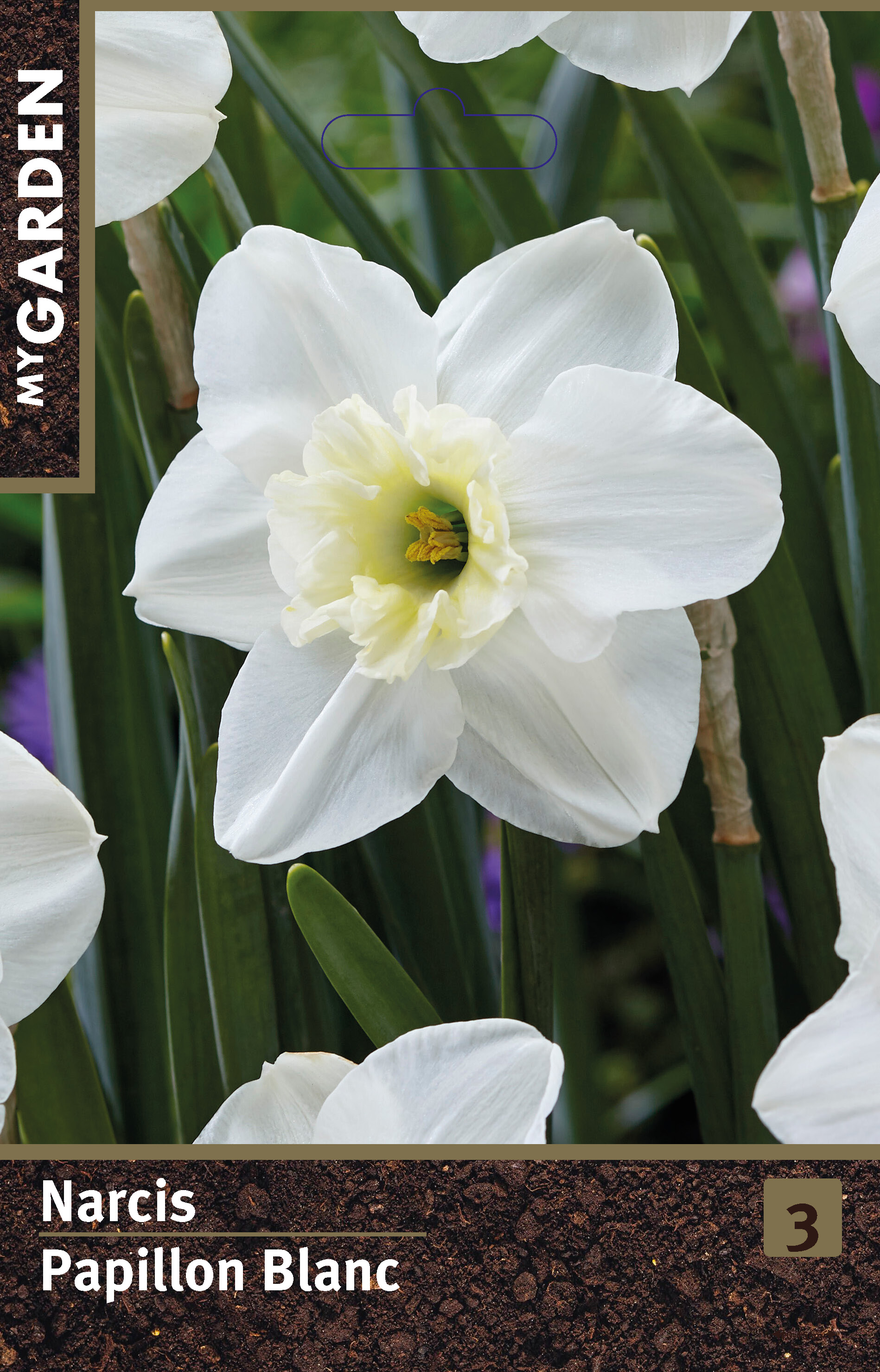 Нарцисс орхидный Папиллон Бланк